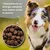 Croquettes chien actif & junior – Dr John Titanium Poulet Croquettes chien actif & junior – Dr John Titanium Poulet