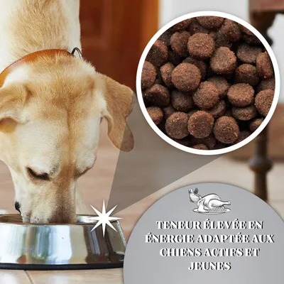 Dr John Titanium Poulet avec Légumes