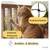 PiuPet Filet de protection chat | 8x3 m | Filet chat balcon fil métallique PiuPet Filet de protection chat | 8x3 m | Filet chat balcon fil métallique