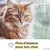 PiuPet Filet de protection chat | 4x3 m | Filet chat balcon fil métallique PiuPet Filet de protection chat | 4x3 m | Filet chat balcon fil métallique