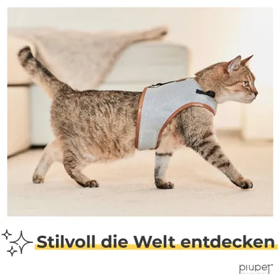 PiuPet Harnais pour chat PiuPet Harnais pour chat