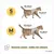 PiuPet Harnais pour chat PiuPet Harnais pour chat