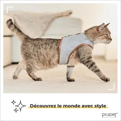 PiuPet Harnais pour chat PiuPet Harnais pour chat