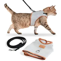 PiuPet Harnais pour chat