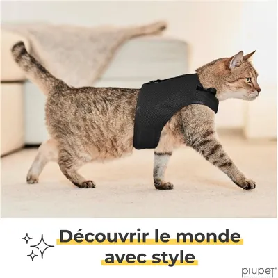 PiuPet Harnais pour chat PiuPet Harnais pour chat