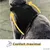 PiuPet Harnais pour chat PiuPet Harnais pour chat