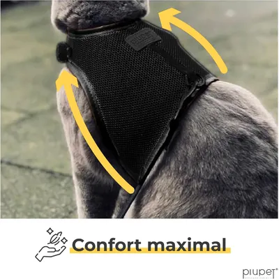 PiuPet Harnais pour chat PiuPet Harnais pour chat