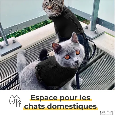 PiuPet Harnais pour chat PiuPet Harnais pour chat