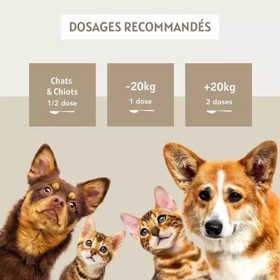 Complexe digestion 100g pour chien et chat - Laboratoire Floralpina