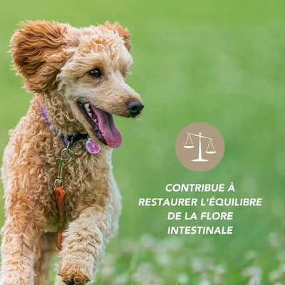 Complexe équilibre Flore - Laboratoire Floralpina