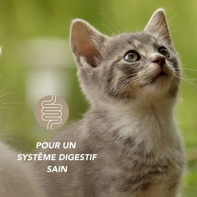 Complexe équilibre Flore - Laboratoire Floralpina