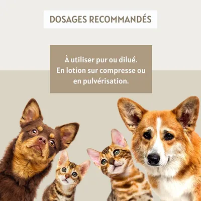 Vinaigre des 4 voleurs