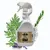 Vinaigre des 4 voleurs Vinaigre des 4 voleurs