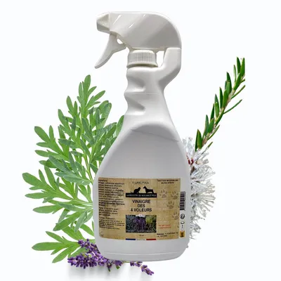 Vinaigre des 4 voleurs Vinaigre des 4 voleurs