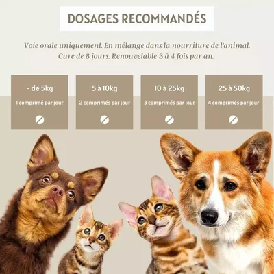 Spiruline comprimés chien chat - Laboratoire Floralpina