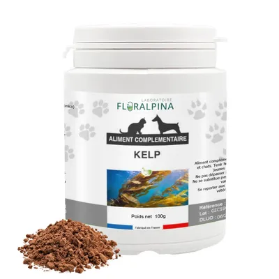 Kelp en poudre 100g pour chien et chat Kelp en poudre 100g pour chien et chat