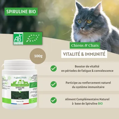 Floralpina – Spiruline biologique en poudre – 100g