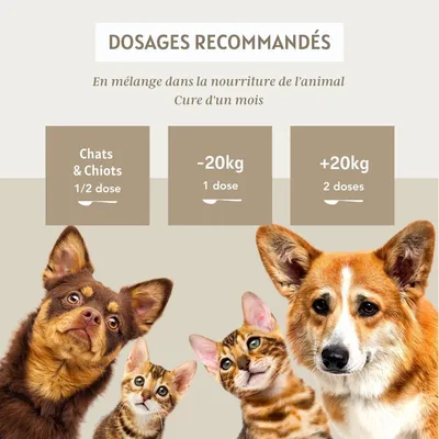 Floralpina – Spiruline biologique en poudre – 100g