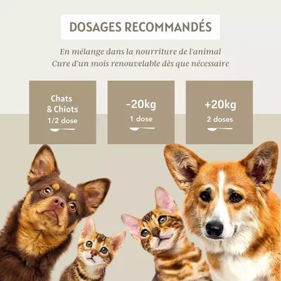 Complexe appétit 100g pour chien et chat - Laboratoire Floralpina