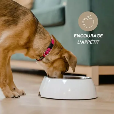 Complexe appétit 100g pour chien et chat - Laboratoire Floralpina