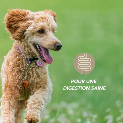 Complexe appétit 100g pour chien et chat - Laboratoire Floralpina