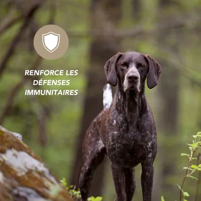 Complexe liquide défenses naturelles - Laboratoire Floralpina