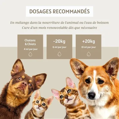 Complexe liquide défenses naturelles - Laboratoire Floralpina