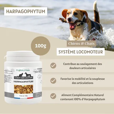 Harpagophytum - Laboratoire Floralpina