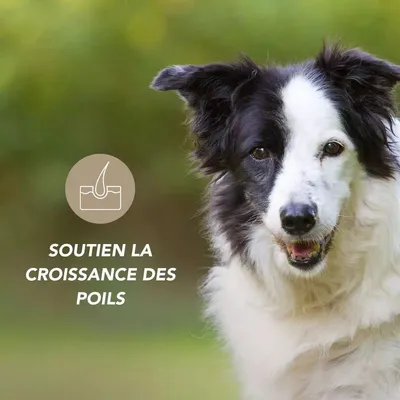 Complexe Pelage Bio 100g pour Chien et Chat - Laboratoire Floralpina