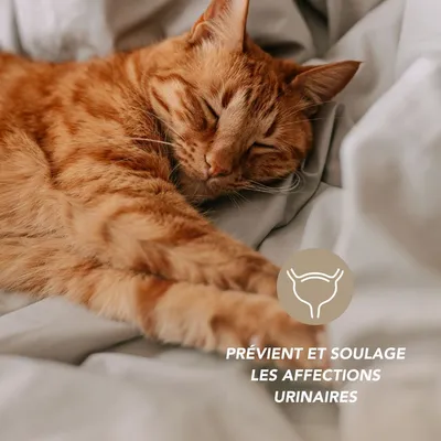 Complexe confort urinaire - Laboratoire Floralpina