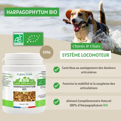 Harpagophytum bio 100g - Laboratoire Floralpina
