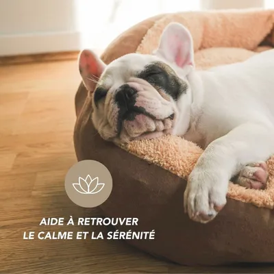 Complexe Calme Stress poudre Bio - Laboratoire Floralpina
