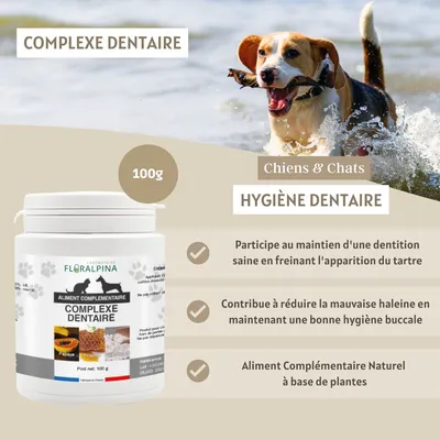 Complexe Dentaire 100g Antitartre pour chien et chat
