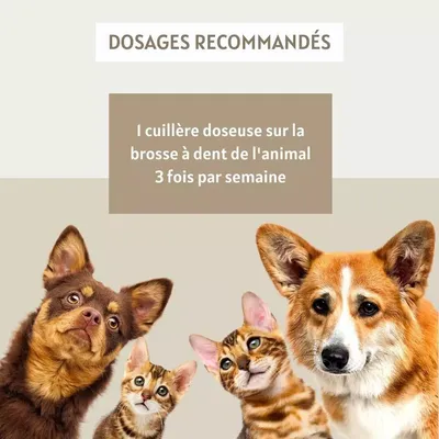 Complexe Dentaire 100g Antitartre pour chien et chat