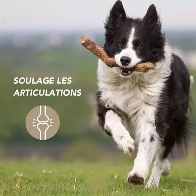 Complexe articulaire renforcé - Laboratoire Floralpina