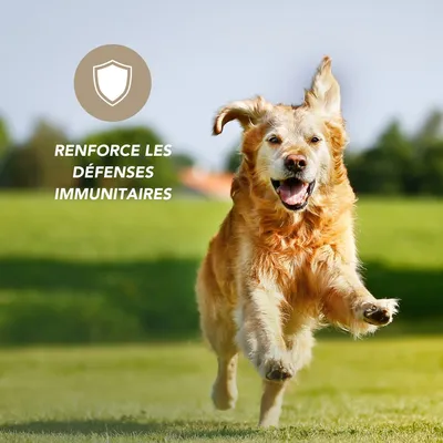 Spray Propolis liquide - Laboratoire Floralpina