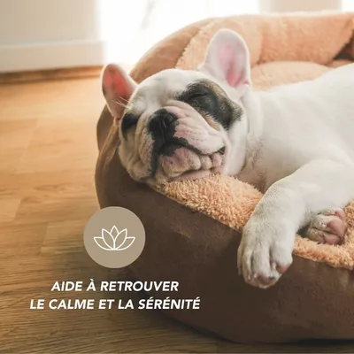 Liquide complexe calme et stress - Laboratoire Floralpina