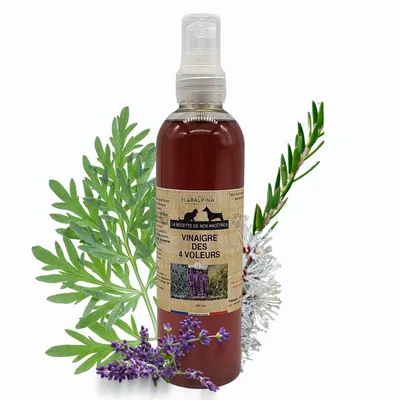 Vinaigre des 4 voleurs 100ml - Laboratoire Floralpina