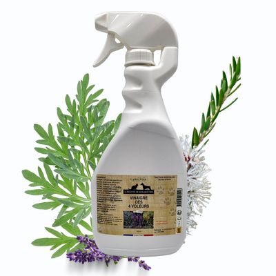 Vinaigre des 4 voleurs 100ml - Laboratoire Floralpina
