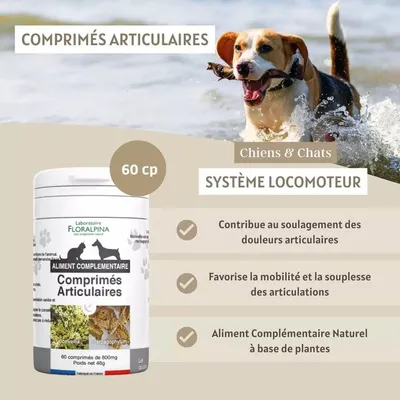 Comprimés articulaire - Laboratoire Floralpina