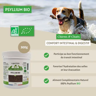 Psyllium blond biologique en graines