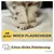PiuPet® Selbstheizende Katzendecke I 60x45cm I Heizdecke ohne Strom