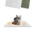 PiuPet® Selbstheizende Katzendecke I 60x45cm I Heizdecke ohne Strom PiuPet® Selbstheizende Katzendecke I 60x45cm I Heizdecke ohne Strom