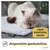 PiuPet® Selbstheizende Katzendecke I 60x45cm I Heizdecke ohne Strom