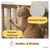 PiuPet Filet de protection chat | 8x3 m | Filet chat balcon transparent