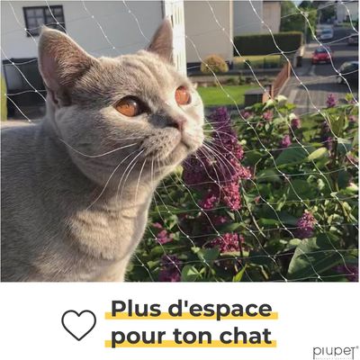 PiuPet Filet de protection chat | 4x3 m | Filet chat balcon transparent