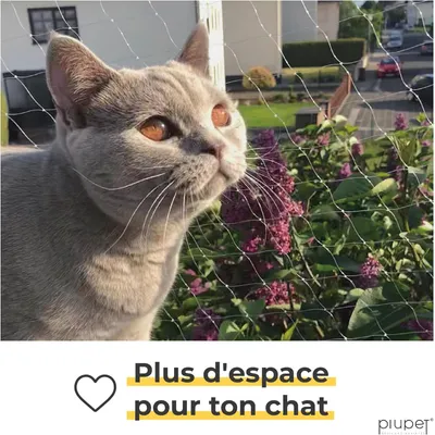 PiuPet Filet de protection chat | 4x3 m | Filet chat balcon transparent