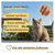 PiuPet Filet de protection chat | 4x3 m | Filet chat balcon transparent