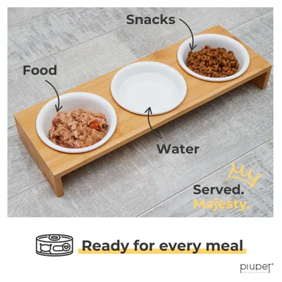 PiuPet Lot de 3 gamelles pour chat