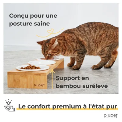 PiuPet Lot de 3 gamelles pour chat